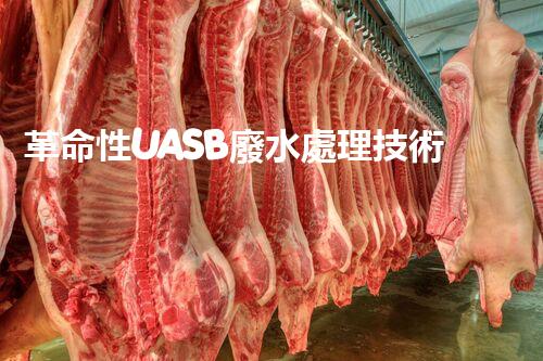革命性UASB廢水處理技術(shù)：解決環(huán)境難題，保護(hù)地球之路？